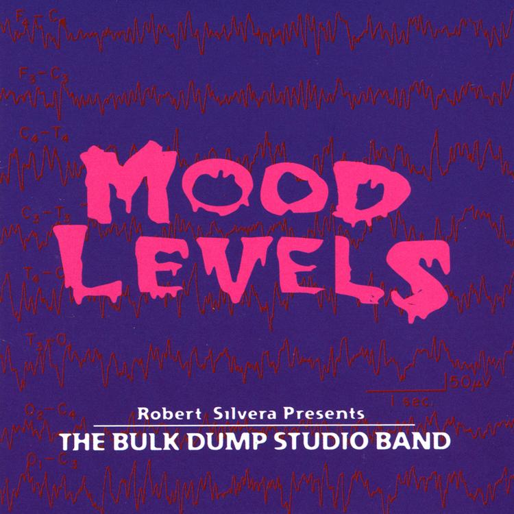 Robert Silvera Presents The Bulk Dump Studio Band's avatar image