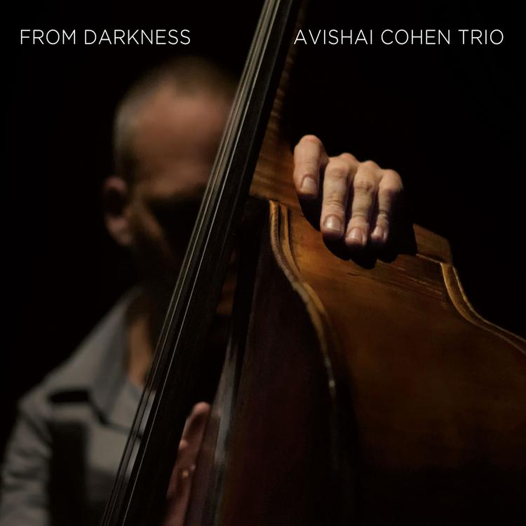 Avishai Cohen Trio's avatar image