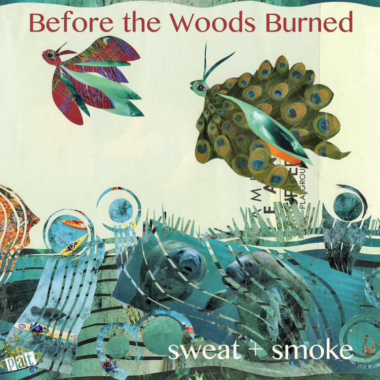 Before the Woods Burned's avatar image