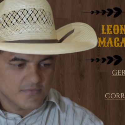 Leonardo Magalhães's cover