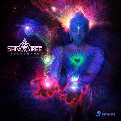 Awakening By Shivatree's cover