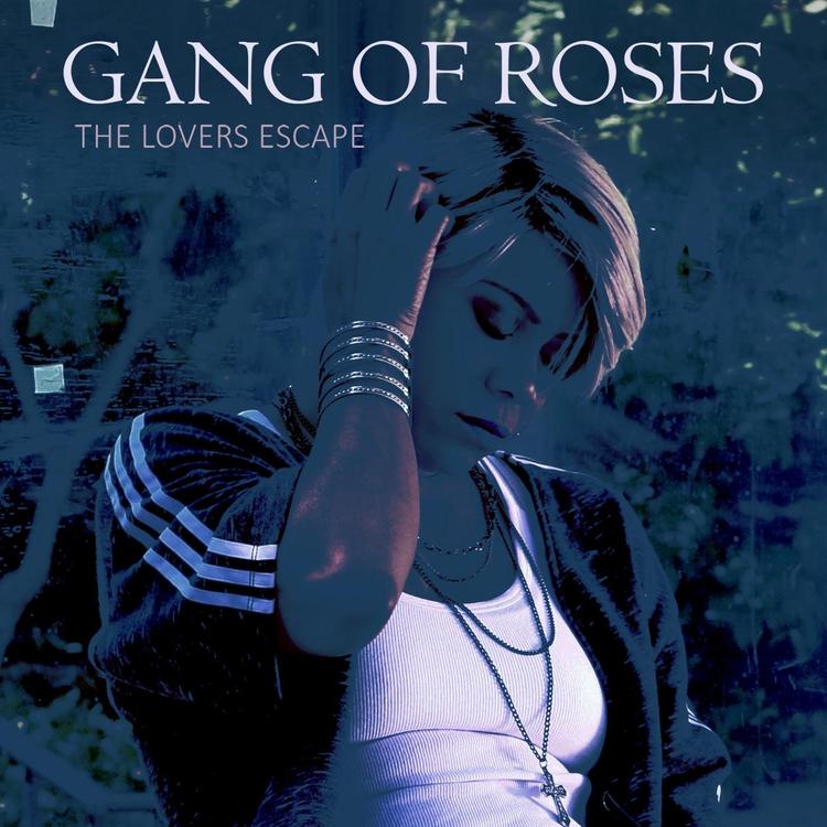 Gang of Roses's avatar image