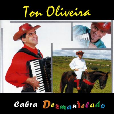 Fazedor de Feira By Ton Oliveira's cover