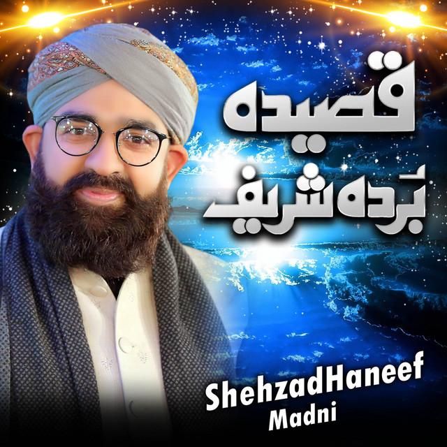 Shehzad Haneef Madni's avatar image