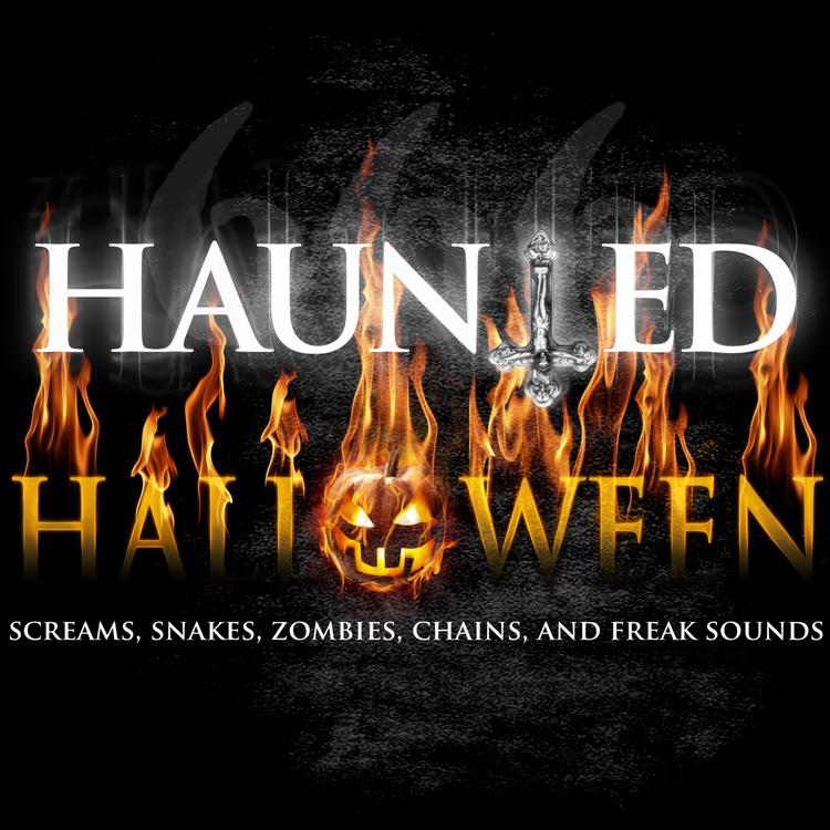 Haunted Halloween Sounds's avatar image