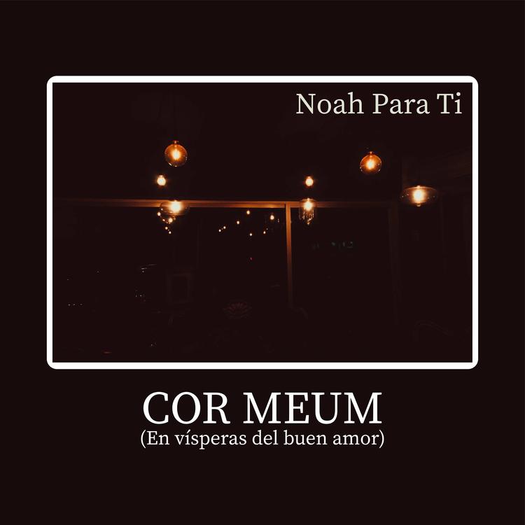 Noah para ti's avatar image