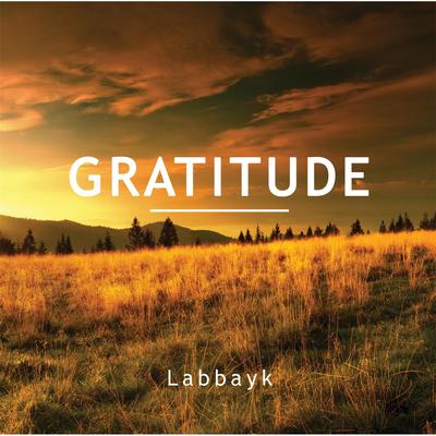 Gratitude's cover