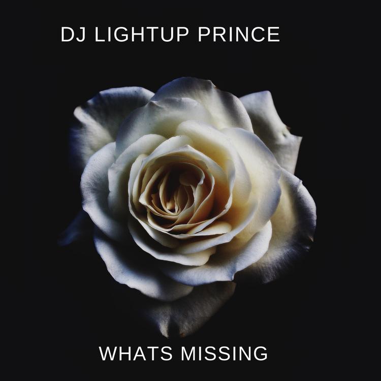 DjLightup Prince's avatar image