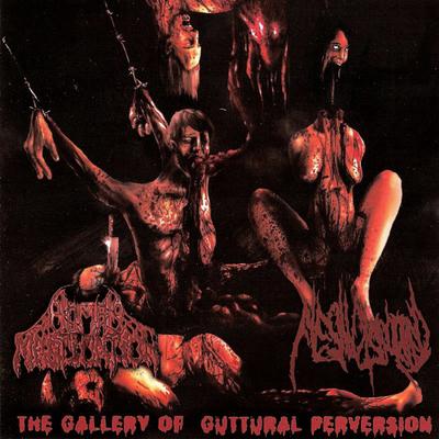 Putrifacting Bowel By Flesh Disgorged's cover