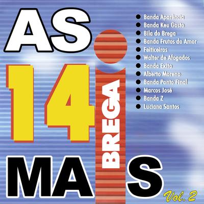 As 14 Mais Brega, Vol. 2's cover
