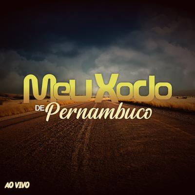 Solidão (Ao Vivo) By Banda Meu Xodó De Pernambuco's cover