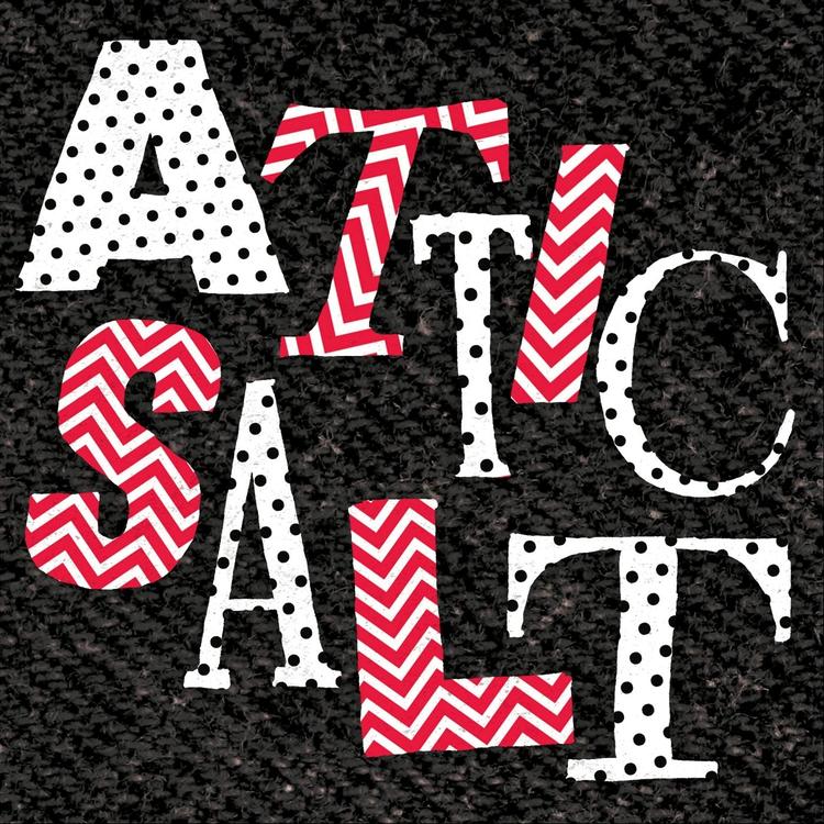 Attic Salt's avatar image