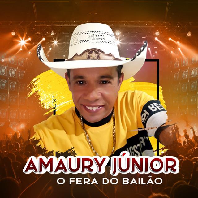 Amaury Júnior's avatar image