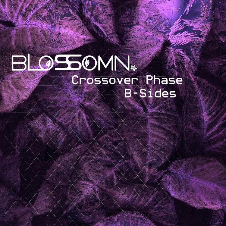 Blossomn's avatar image