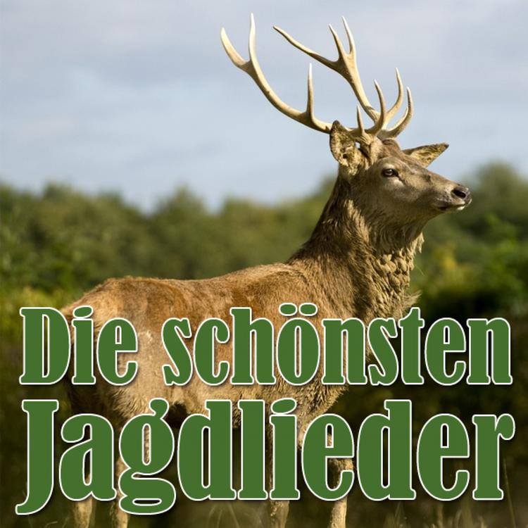 Chor und Orchester des Süddeutschen Rundfunks's avatar image