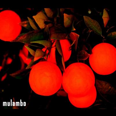 Mulambo's cover