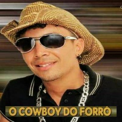 O Cowboy do Forró's cover