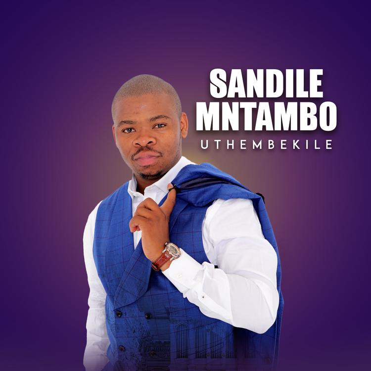 Sandile Mntambo's avatar image