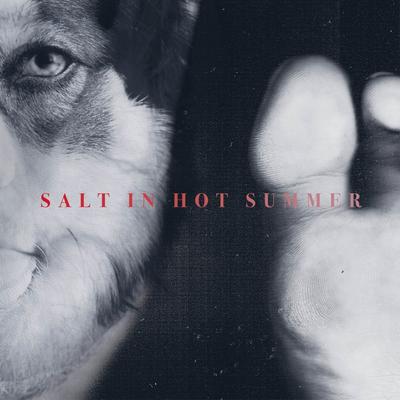 Salt in Hot Summer By Baru's cover