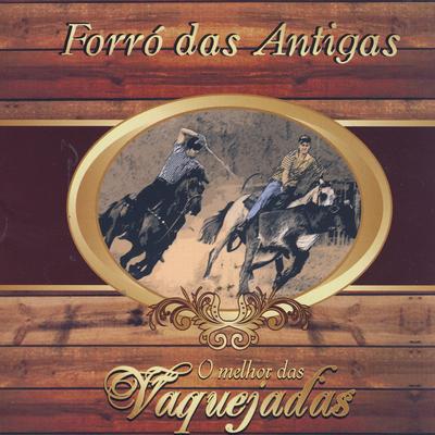 Vaqueiro Forrozeiro By Forró Da Terra's cover