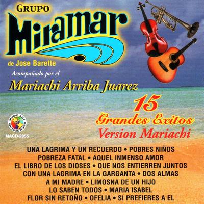15 Grandes Exitos Version Mariachi's cover