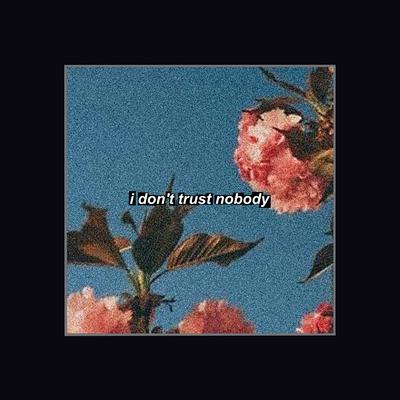 I Don't Trust Nobody By R.L. Beats's cover