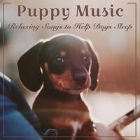 Puppy Music Dreams's avatar cover