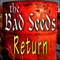 The Bad Seeds's avatar cover