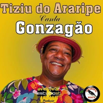 Tiziu Canta Gonzagão (Cover)'s cover