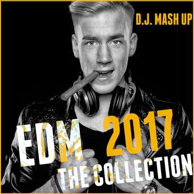 EDM 2017: The Collection (Electronic Dance Music)'s cover