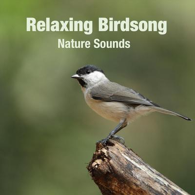 Relaxing Birdsong's cover
