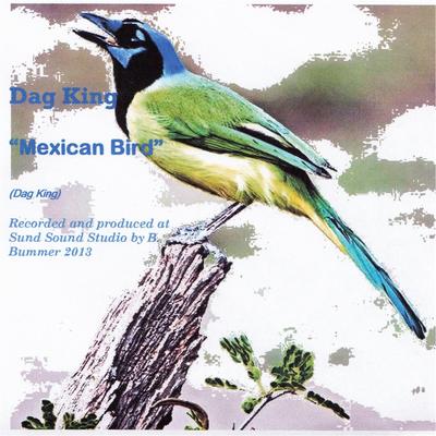 Mexican Bird's cover