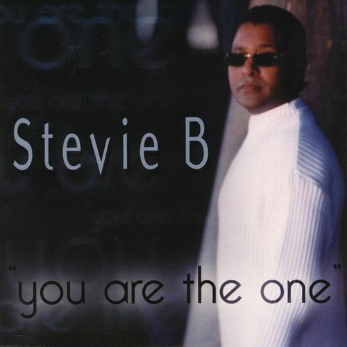 Stevie B's cover