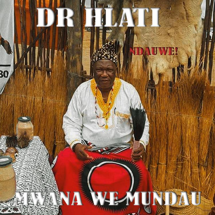 Dr Hlathi (Ndauwe)'s avatar image