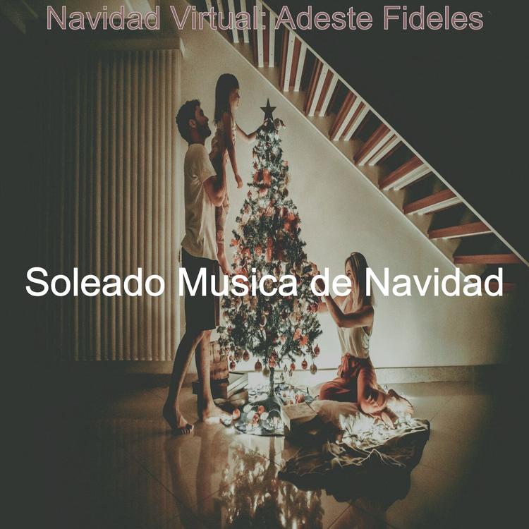 Soleado Musica de Navidad's avatar image