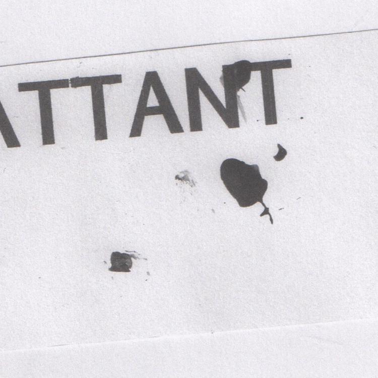 Battant's avatar image