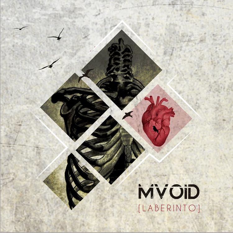 Mvoid's avatar image