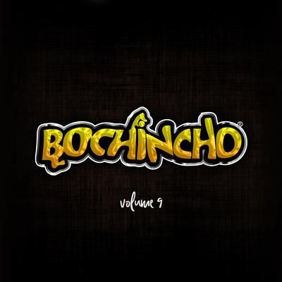 Eu Vou Partir (Ao Vivo) By Grupo Bochincho, Tchê Garotos's cover