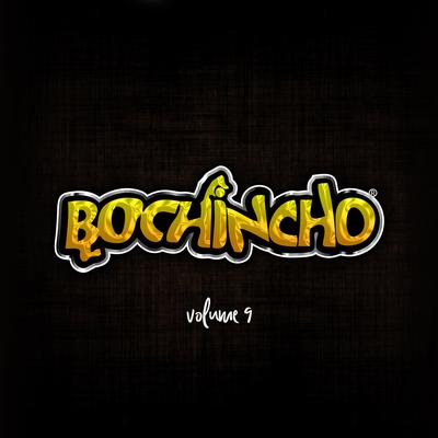 Estrela (Ao Vivo) By Grupo Bochincho, Sandro Coelho's cover