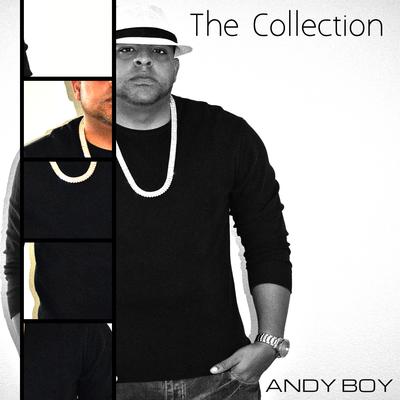 The Collection's cover