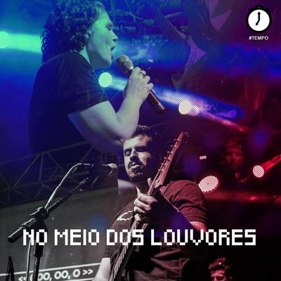 No Meio dos Louvores (Ao Vivo)'s cover