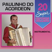 Paulinho do Acordeon's avatar cover