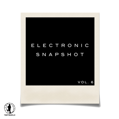 Electronic Snapshot, Vol. 6's cover