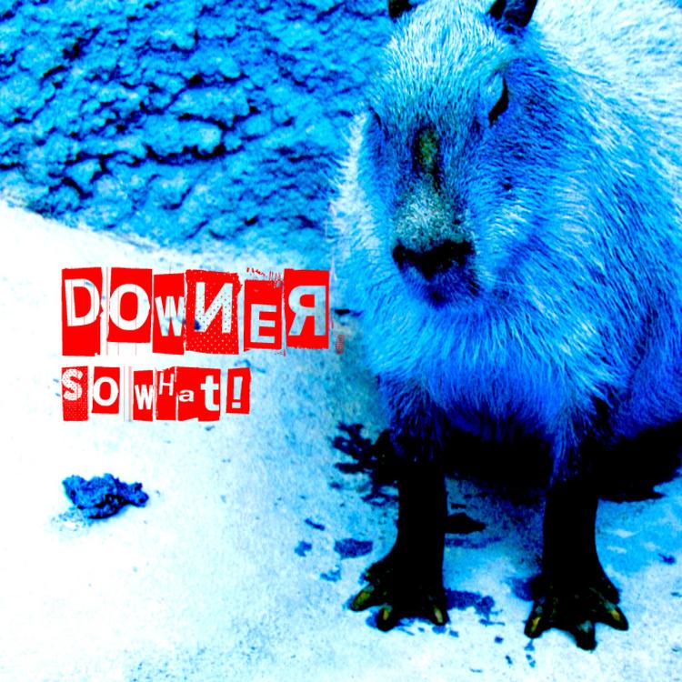 Downer's avatar image
