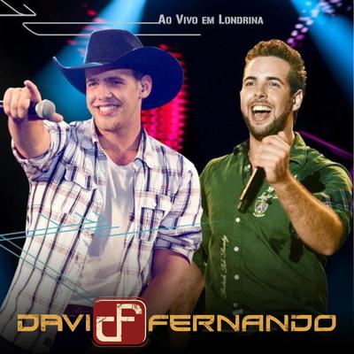 No Seu Lugar (Ao Vivo) By Davi e Fernando's cover