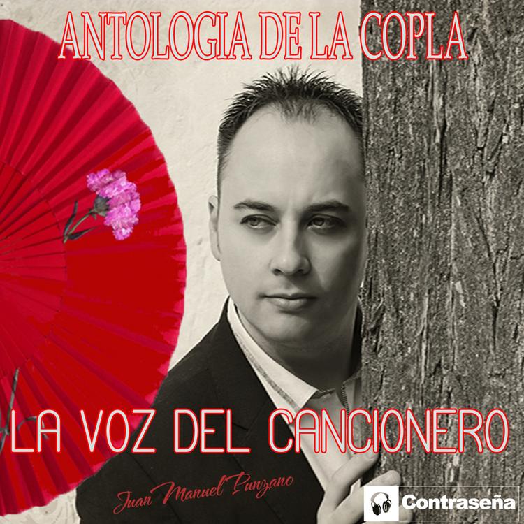 La Voz del Cancionero's avatar image