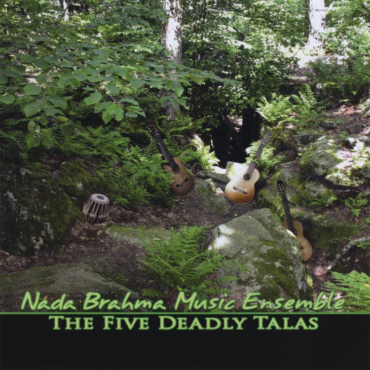 The Nada Brahma Music Ensemble's avatar image
