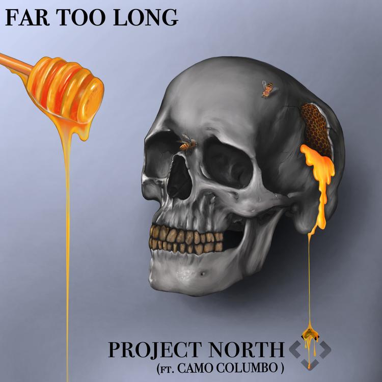  Project North's avatar image