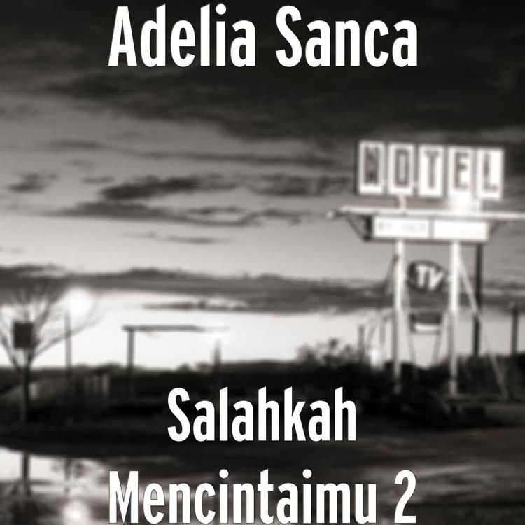 Adelia Sanca's avatar image