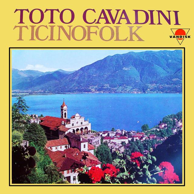 Toto Cavadini's avatar image